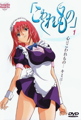 损坏之物封面图