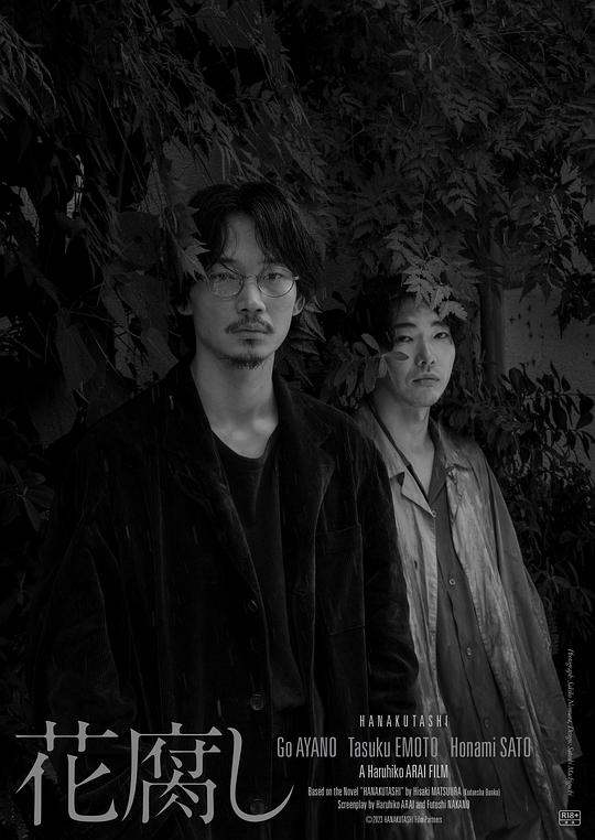 腐花之雨封面图