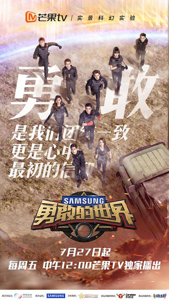 勇敢的世界封面图