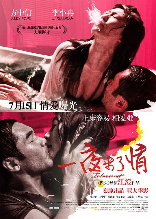 一夜未了情封面图