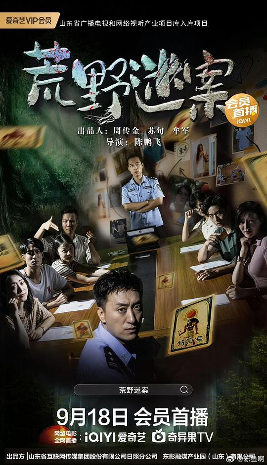 荒野迷案封面图