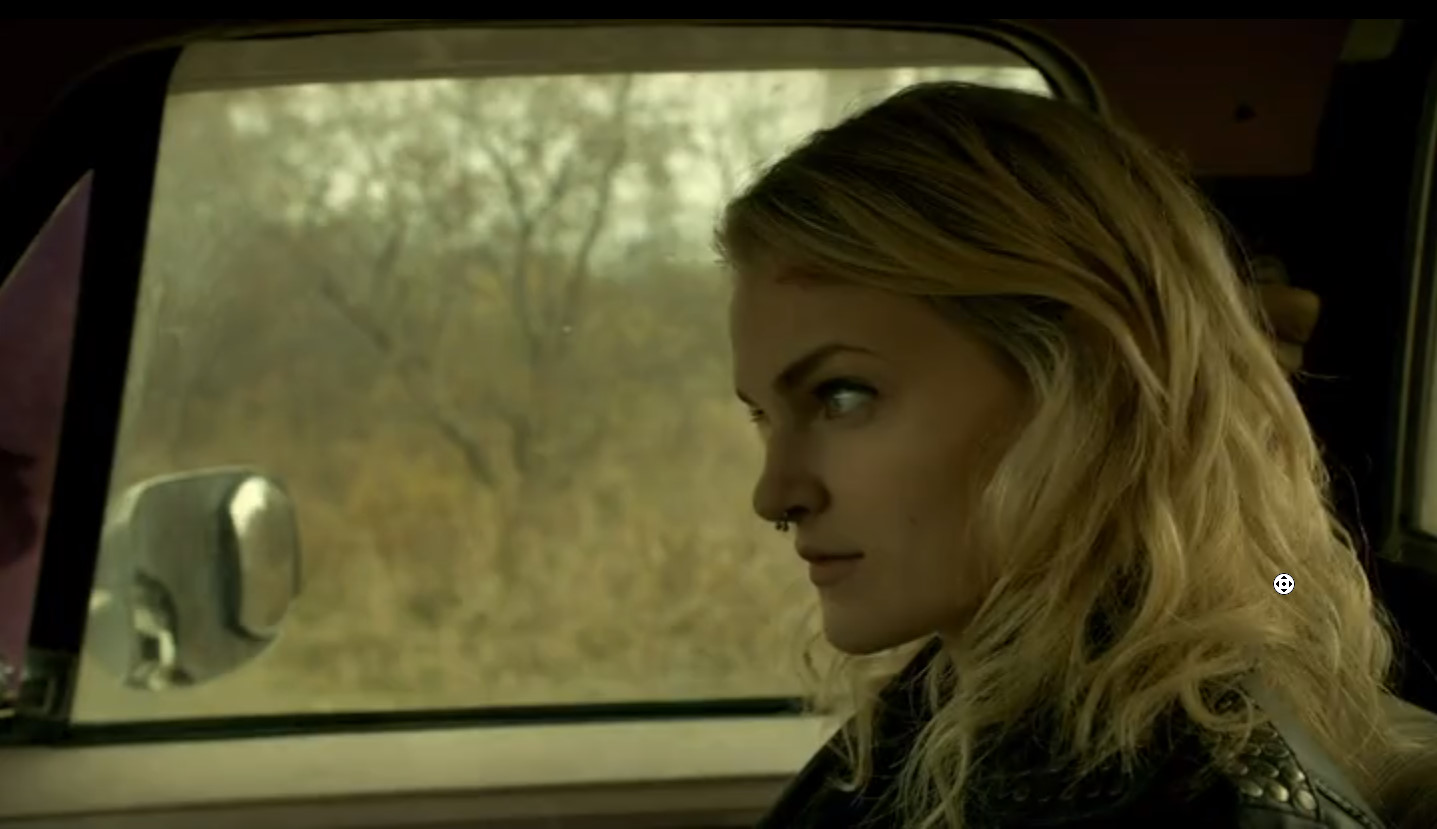 铁杉树丛第二季封面图