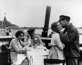 燕子与山雀封面图