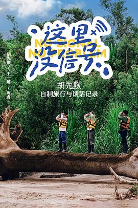 这里没信号封面图