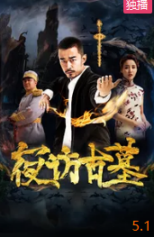 夜访古墓封面图