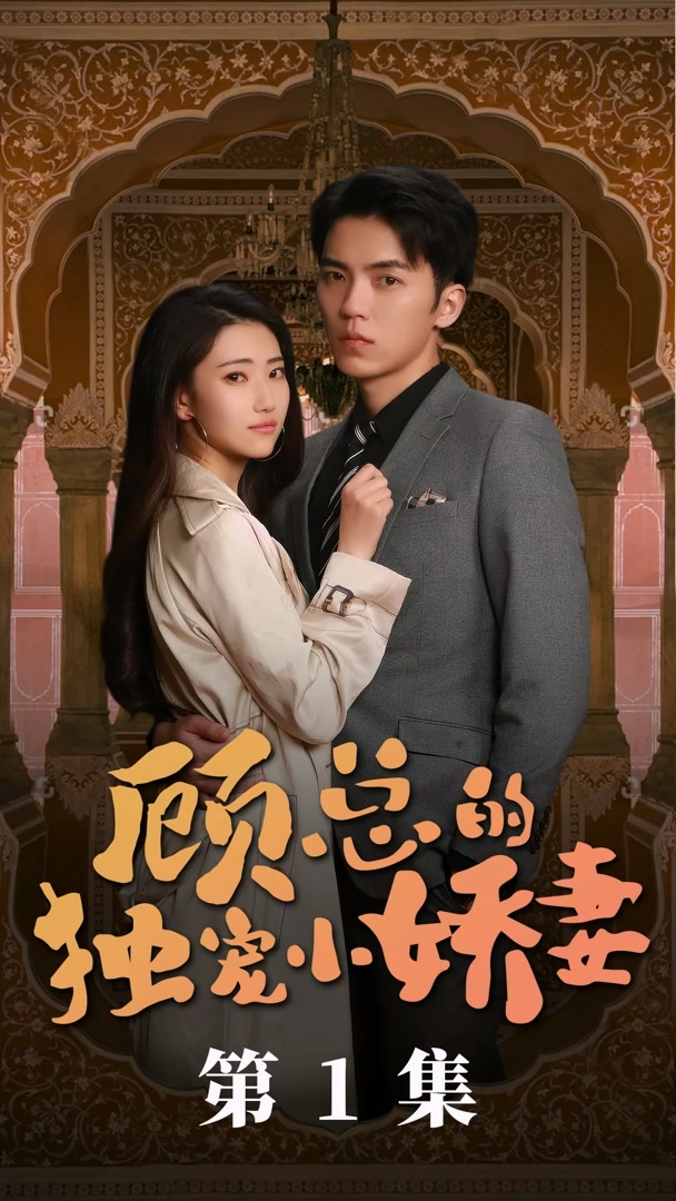 历总的私密小娇妻封面图