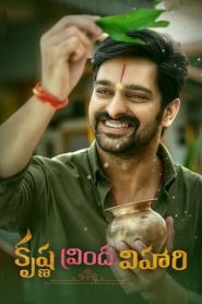 追爱谎言封面图