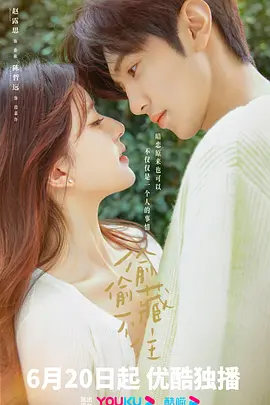 偷偷藏不住封面图