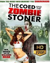 校内僵尸联谊会封面图