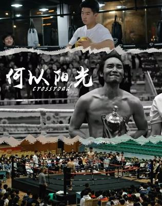 何以阳光封面图