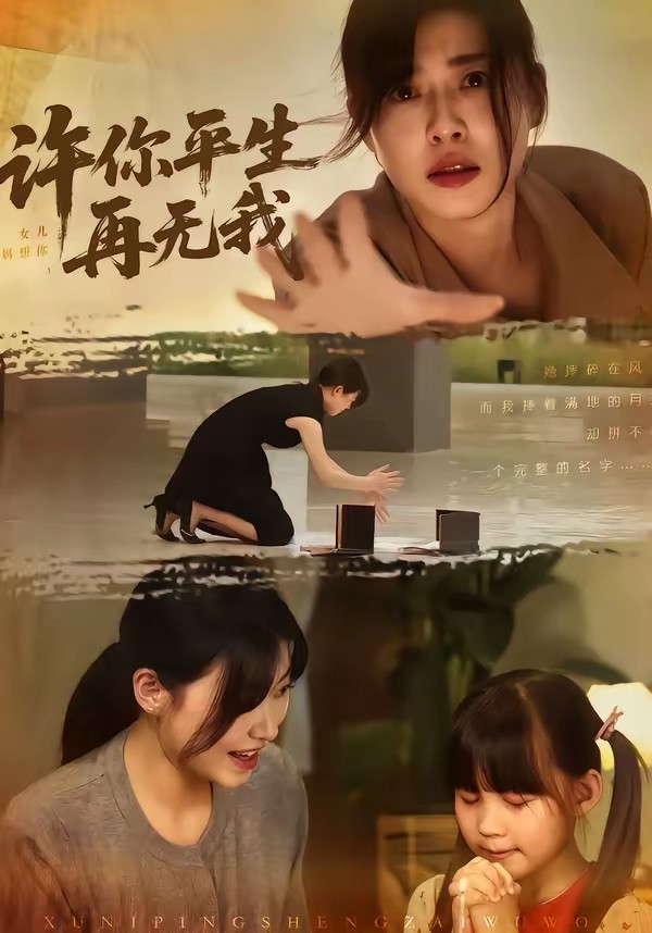 许你平生再无我封面图