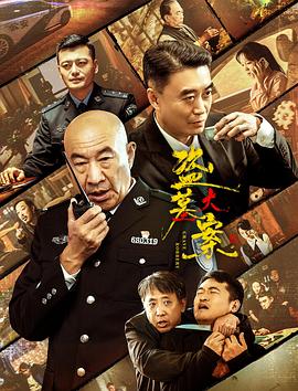 盗墓大案封面图