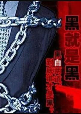X档案之黑就是黑封面图