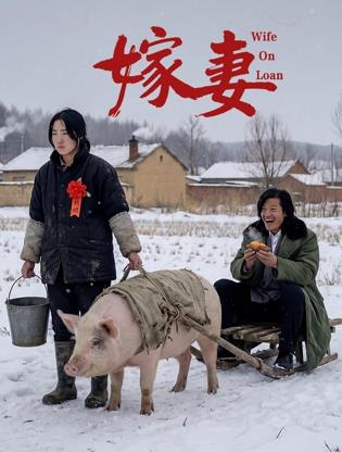 嫁妻封面图