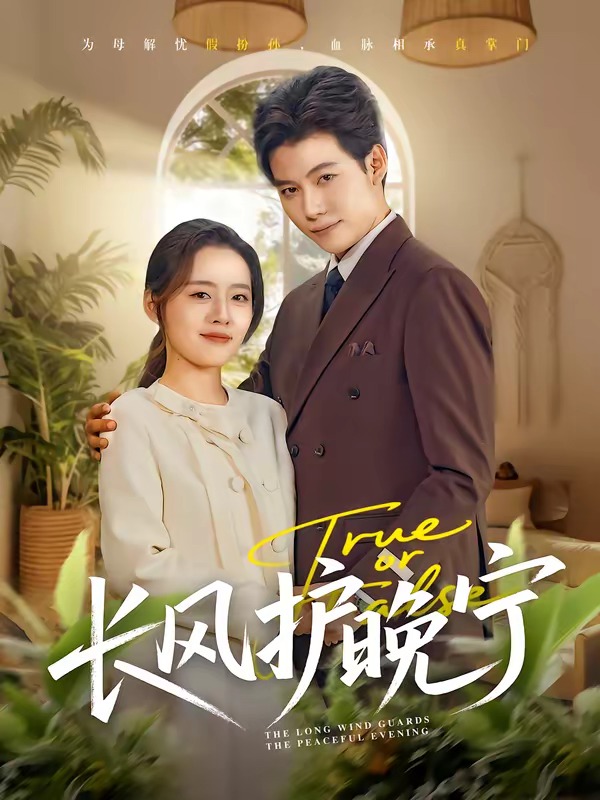 长风护晚宁封面图