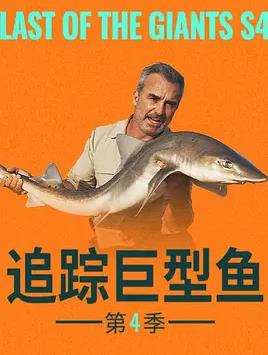 追踪巨型鱼第四季封面图