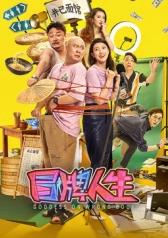 冒牌人生封面图