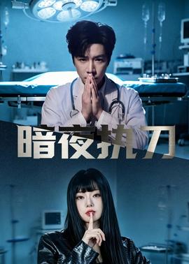 暗夜执刀封面图