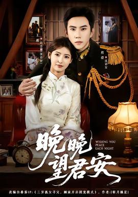 晚晚望君安封面图