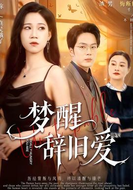 梦醒辞旧爱封面图