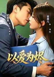 以爱为烬封面图