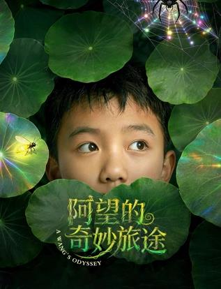 阿望的奇妙旅途封面图