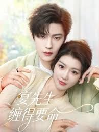 宴先生缠得要命封面图