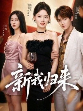 新我归来封面图