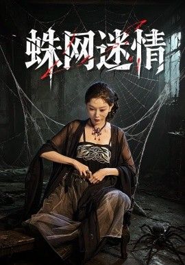 蛛网迷情封面图