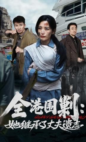 全港围剿：她继承了丈夫遗志封面图