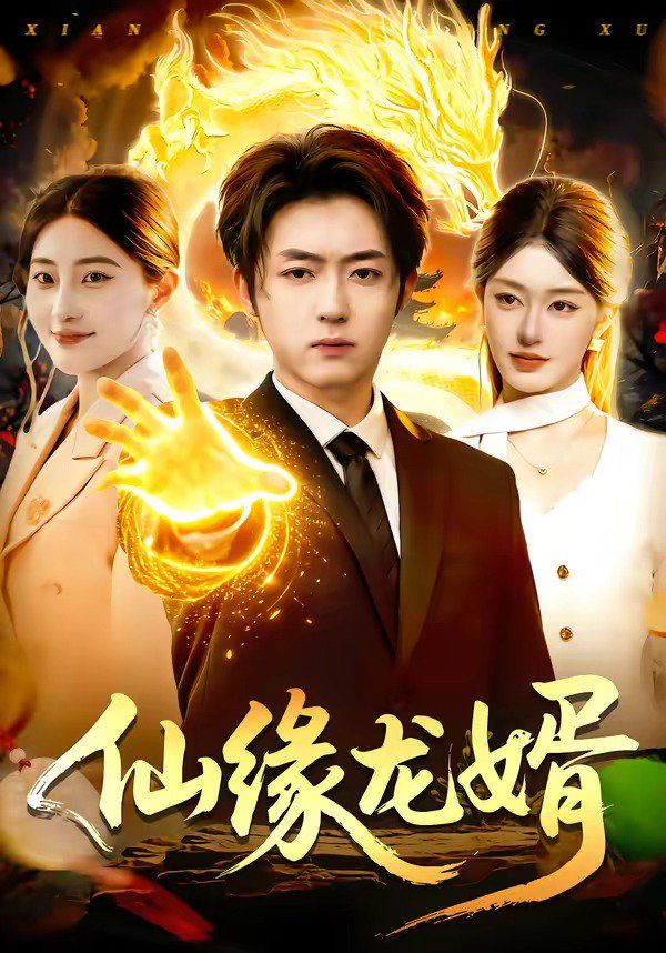 仙缘龙婿封面图