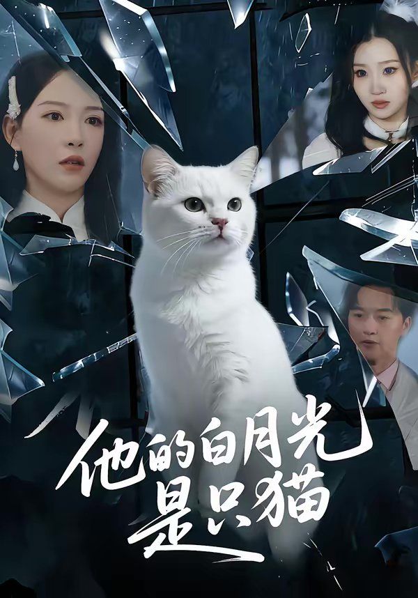 他的白月光是只猫封面图
