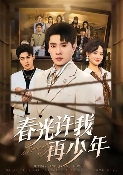 春光许我再少年封面图