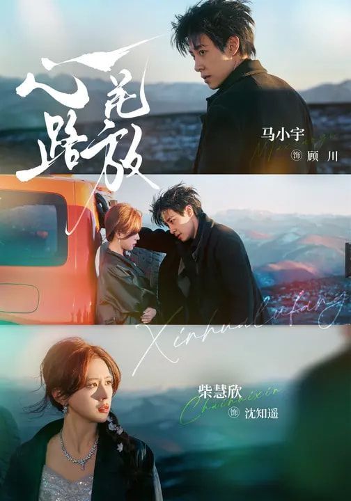 心花路放（2026）封面图