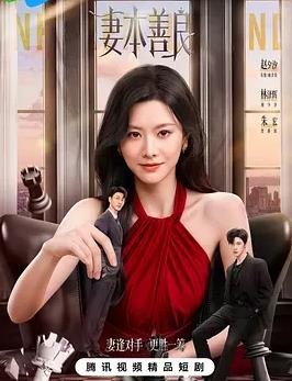 妻本善良封面图