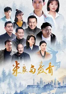 米良与麦青封面图