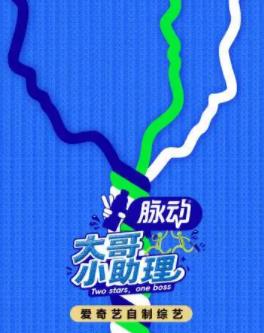 大哥小助理封面图