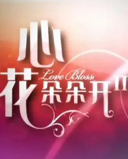 心花朵朵开2封面图