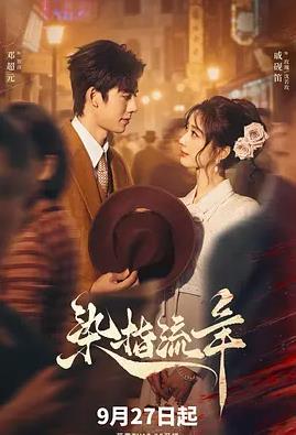 染指流年封面图