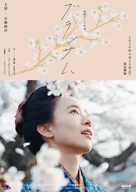 花朵盛开封面图