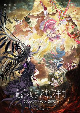 魔法少女小圆：沃普尔吉斯的回天封面图
